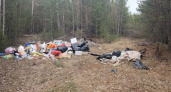 В Иркутской области фотоловушка зафиксировала организатора лесной свалки