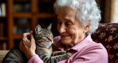 Стоит ли заводить кошку людям в возрасте 60+: реальные риски и как сделать выбор ответственно