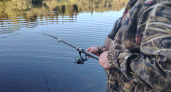 Не наживка, а магнит: окунь клюёт на этого живца с тройной силой — советы эксперта