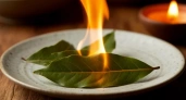 Дома вечерами всегда поджигаю лавровый лист: старинный способ работает и сейчас