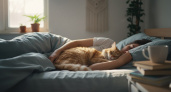 Почему кошки спят с человеком: 3 основные причины и важные моменты, о которых нужно помнить