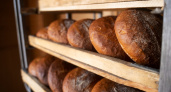 Ученые поставили точку в вечном споре: можно ли хранить хлеб в холодильнике - запомните раз и навсегда