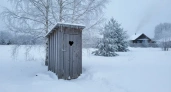 Залейте одно ведро — и забудьте об откачке выгребной ямы на всю зиму: без заморочек и неприятного запаха