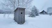 Залейте одно ведро — и забудьте об откачке выгребной ямы на всю зиму: без заморочек и неприятного запаха