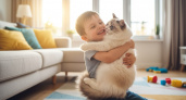 Не игрушка, а самый верный друг: 4 породы кошек, подходящие для семьи с детьми