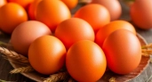 Ярче, чем от луковой шелухи: этот овощ окрасит яйца в золотой — пасхальные яйца будут краше драгоценных камней