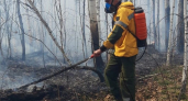 В Иркутской области потребовали взыскать миллионы с поджигателей леса