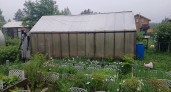 Поликарбонат уже устарел: выбрала новый материал на теплицу – дешевый, износостойкий и не боится мороза