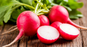 5 ложек на ведро — и редис растет как на дрожжах: вырастет крупным и сочным — мощная подкормка