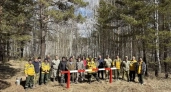 В Иркутской области приводят в порядок лес у Байкальского тракта