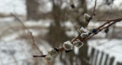 Мокрый снег и ветер: синоптики Иркутской области рассказали о погоде 30 апреля