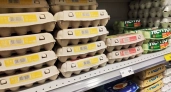 Куриные яйца не покупаю уже год: от этих 9 продуктов советуют отказаться ученые. А мы их едим каждый день и детям даем
