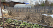 Сыпьте весной на все грядки и под все кусты: 1 ложка этого удобрения заменяет тысячу подкормок — работает без химии