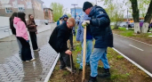 В Усолье высадили 20 деревьев в честь Дня детских общественных объединений