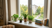 Никогда не ставьте это на подоконник: 3 предмета, которые притягивают в дом несчастья