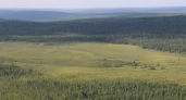 Иркутская область впервые за неделю осталась без лесных возгораний 
