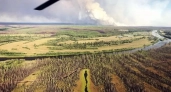 За сутки в Иркутской области полностью ликвидировали два возгорания в лесах