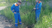 В Иркутской области спасатели достали собаку из четырехметрового колодца