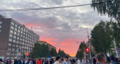 Старые полотенца не рву на тряпки: 5 необычных идей, как превратить их в полезные вещи на даче