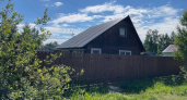 Кто умнее — дачники или маркетологи: на Ozon покупают фотообои для идеального забора из рабицы — кто кого переиграл 