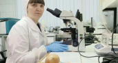 В Иркутской области ветеринары провели полтысячи экспертиз растительной продукции на рынках