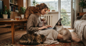 Кошки с собачьей преданностью: 4 породы кошек, которые сильно привязываются к хозяевам