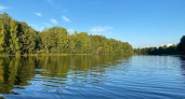 В водохранилище Иркутской области выпустили более 750 тысяч мальков