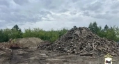 В Иркутской области директор фирмы сбросила мусор на своей земле вместо вывоза по контракту