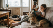 Собаки-тихони: 4 породы, которые берегут мебель, не докучают лаем и обожают возиться с детьми