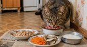 Советские кошки сухого корма не знали: что им клали в миску каждый день — старые ветсправочники расписали рацион по граммам