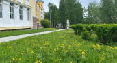 Прогноз погоды в Иркутской области на 30 августа: осадков не ожидается