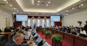 В Иркутской области создали рабочую группу из-за частых выходов медведей к людям