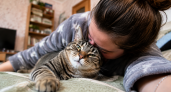 Кошка признаётся в любви без единого звука: 6 жестов, которыми она показывает, что выбрала вас своим кожаным любимчиком