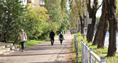 Жизнь не должна быть лёгкой: Иван Гончаров объяснил, почему человек без испытаний становится «тепличным растением»