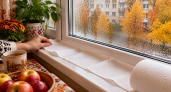 Окна начали плакать — кладу на подоконник одну простую вещь: работает как «ловушка» для конденсата всю осень