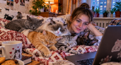 Не коты, а домашние «ангелы»: 5 пород для маленькой квартиры — меньше штурмов шкафов, а у обоев больше шансов остаться целыми