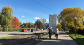 Выбирайте трудную жизнь: Бехтерева объяснила, почему мозг без сложных задач быстро ржавеет