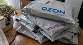 Серые пакеты с Ozon и Wildberries не выбрасываю: плотный «курьерский пластик» заменяет 7 вещей дома и на даче
