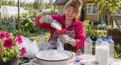 Пустые пластиковые бутылки + соль: на даче из этого получается универсальный помощник на все случаи — бесплатный лайфхак