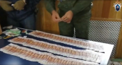 В Иркутской области осудили банду, торговавшую водительскими правами
