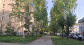 На Комсомольском проспекте Усолья-Сибирского высадили ещё сто деревьев
