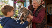 Не коты, а семейная реликвия: 5 пород, которые живут так долго, что успевают перейти по наследству