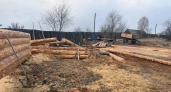 В Иркутской области лесоруба наказали за добычу 28 деревьев