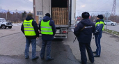 Инспекторы Россельхознадзора пресекли перевозку 33 коров без документов из Бурятии в Иркутскую область 
