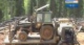 Методы борьбы с незаконной заготовкой леса разрабатывали в Сером доме