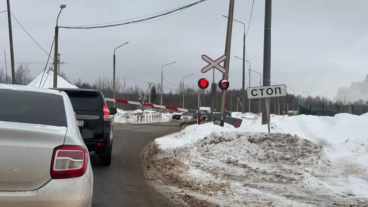 Раскрыто, на какой скорости бензин и дизель расходуется в 2 раза меньше — еду и экономлю