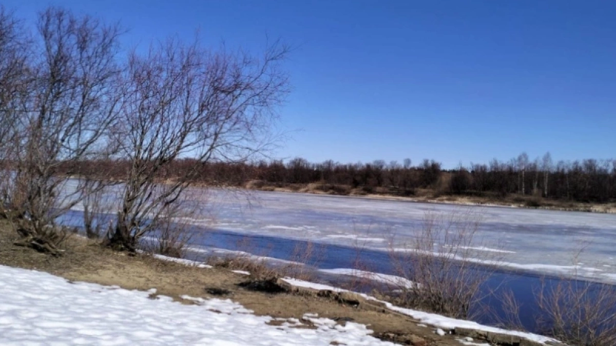 Такой весны на нашем веку не было: синоптики установили даты прихода аномальной жары