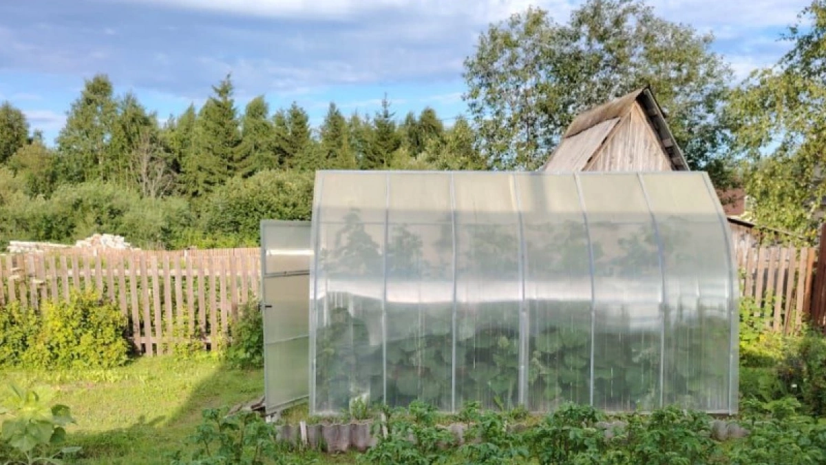 Пленка и поликарбонат больше не в моде: сейчас все предпочитают для теплиц этот вариант — гораздо надежнее и удобнее