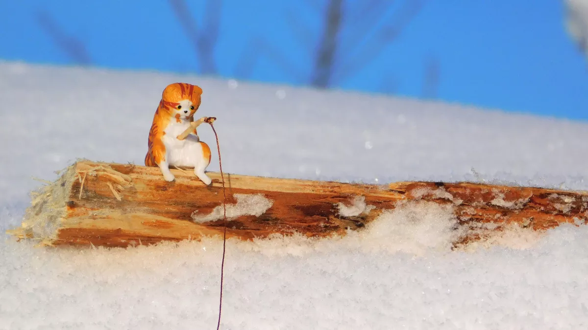 Потепление до +8 градусов ожидается в Иркутской области 8 марта