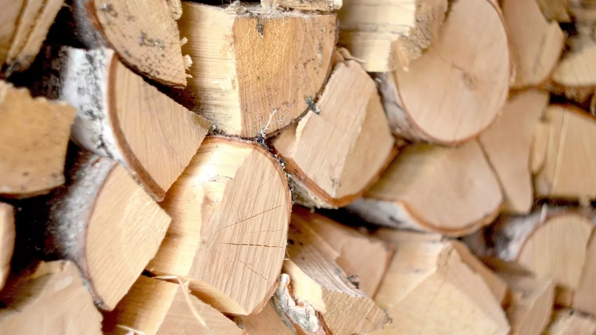 Из Иркутской области за неделю отправили за границу 66 тысяч кубометров леса